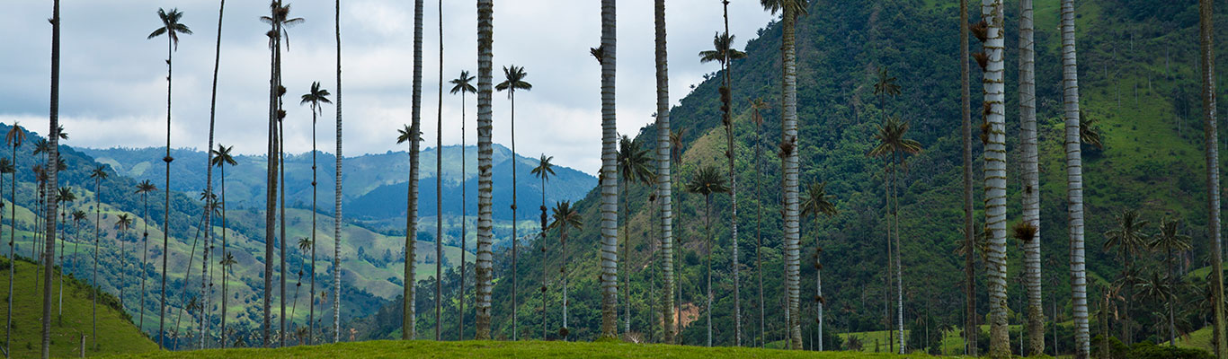 Foto cortesía: ProColombia